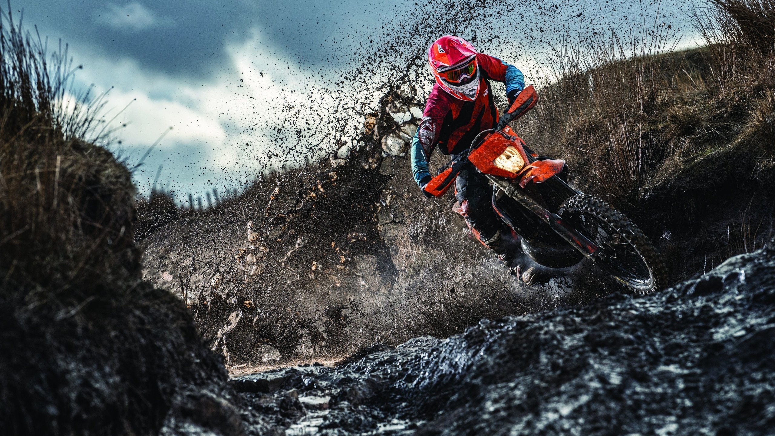 冠军球队球员个人纪录片获奖传播其励志成长历程，球类冠军